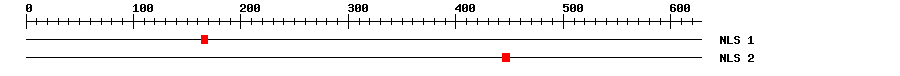NLS
