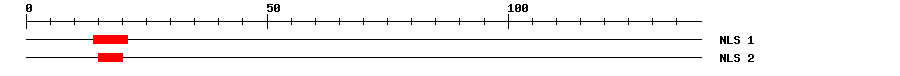 NLS