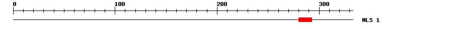 NLS