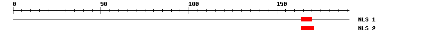 NLS