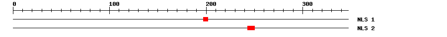 NLS