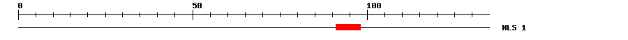 NLS