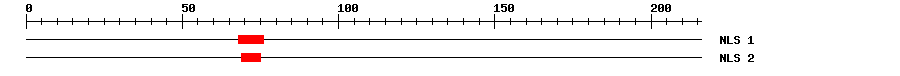 NLS