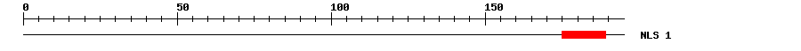 NLS