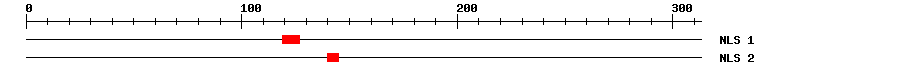 NLS