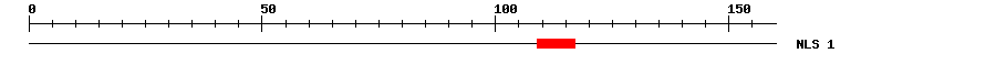 NLS