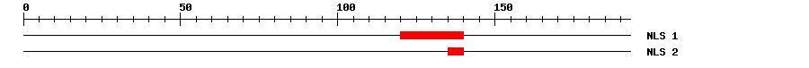 NLS