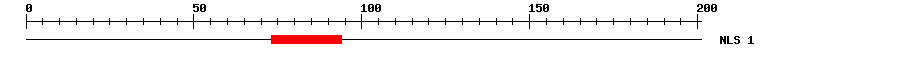 NLS
