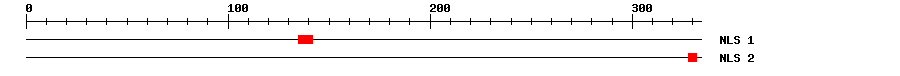 NLS