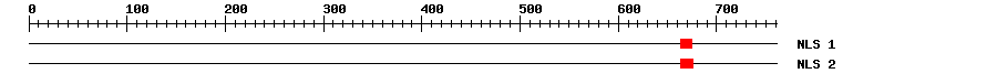 NLS