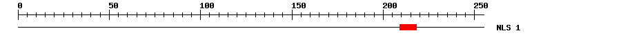NLS