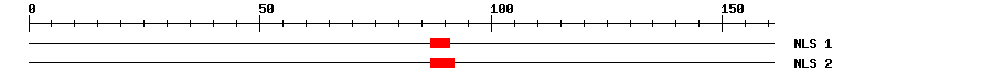 NLS