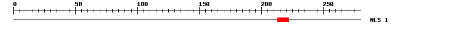 NLS