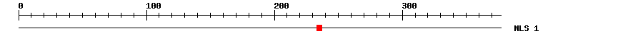 NLS