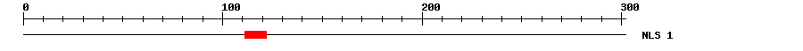 NLS