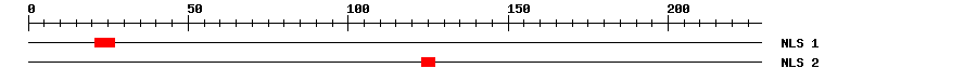 NLS