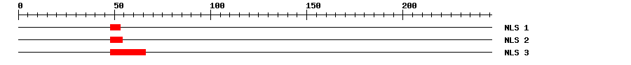 NLS