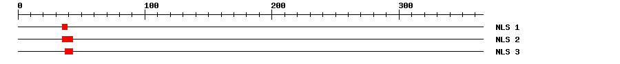 NLS
