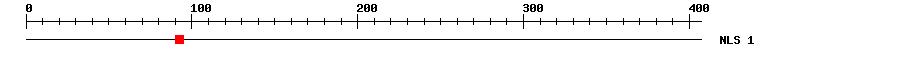 NLS