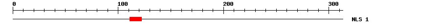 NLS