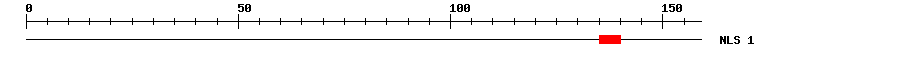 NLS