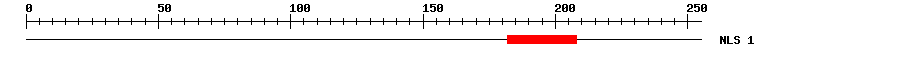 NLS