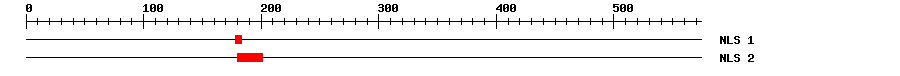 NLS