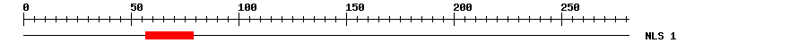 NLS