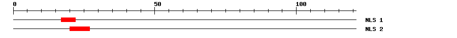 NLS