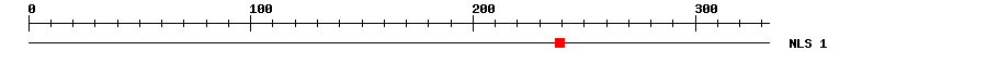 NLS
