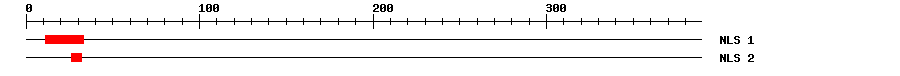 NLS