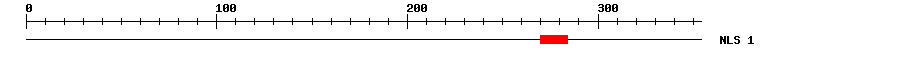 NLS