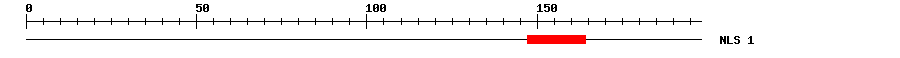 NLS