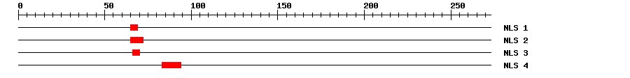 NLS