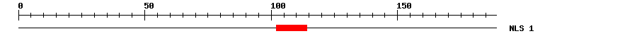 NLS