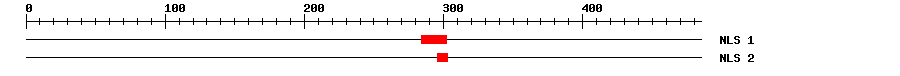 NLS
