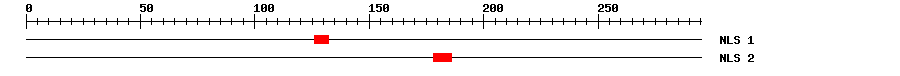 NLS