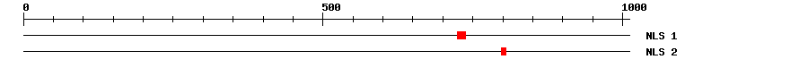 NLS