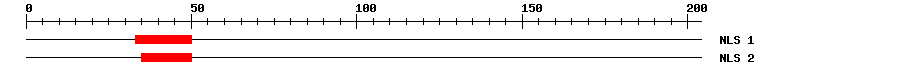NLS