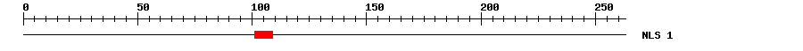 NLS