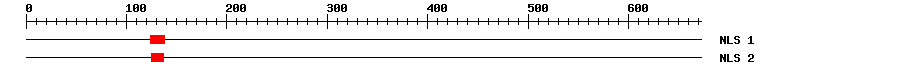 NLS