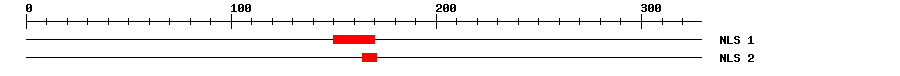 NLS