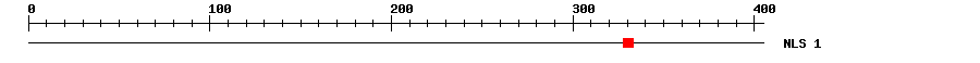 NLS