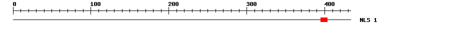 NLS