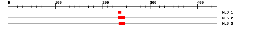 NLS
