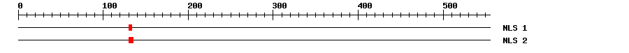 NLS
