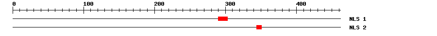 NLS