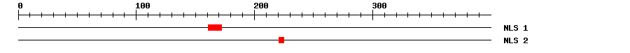 NLS