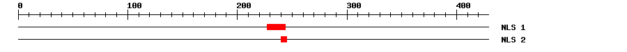 NLS