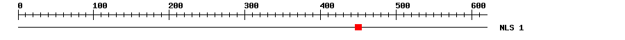 NLS